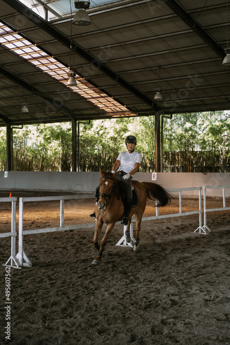 Young woman trains in horseback riding in the arena. A pedigree horse for equestrian sport. The sportswoman on a horse. The horsewoman on a horse. Equestrianism. Horse riding. Rider on a horse. © Yuliya Kirayonak