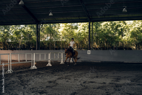 Young woman trains in horseback riding in the arena. A pedigree horse for equestrian sport. The sportswoman on a horse. The horsewoman on a horse. Equestrianism. Horse riding. Rider on a horse.