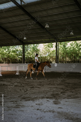 Woman trains in horseback riding in the arena. A pedigree horse for equestrian sport. The sportswoman on a horse. The horsewoman on a horse. Equestrianism. Horse riding. Rider on a horse. © Yuliya Kirayonak