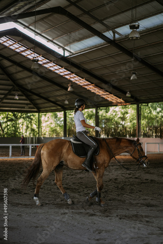 Woman trains in horseback riding in the arena. A pedigree horse for equestrian sport. The sportswoman on a horse. The horsewoman on a horse. Equestrianism. Horse riding. Rider on a horse.