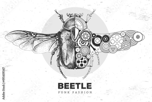 Realistic and punk style beetle illustration. Beetle silhouette with gears. Vector illustration