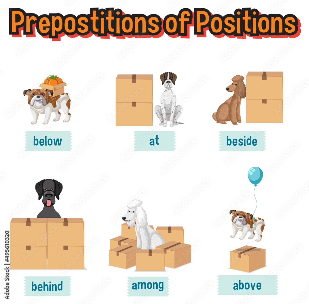 Preposition wordcard with box and dog Preposition wordcard with box and dog
