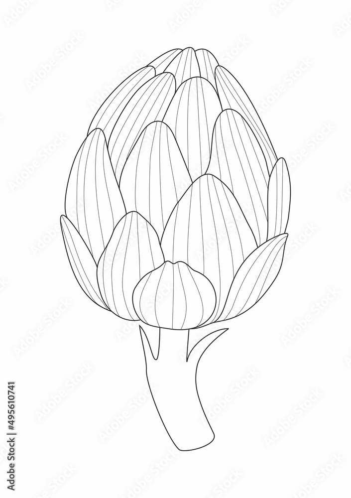 Fototapeta premium Artichoke line drawing illustration. Coloring book for children and adults