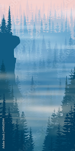 Mountain gorge, canyon. Coniferous forest in the morning fog, vertical banner.