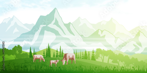 Hills against the background of alpine peaks, cows graze in the meadow, spring early view