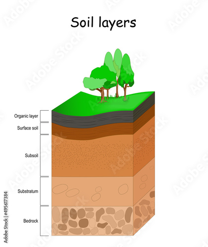 Soil layers. Structure of soil