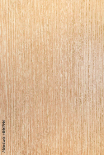 Vertical texture of natural wood with a natural pattern in beige. Background for design