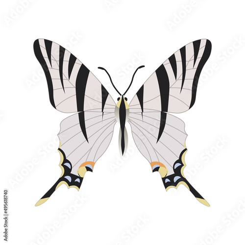 White tiger butterfly. Vector stock illustration.