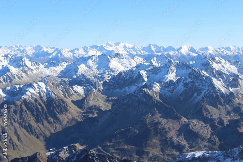 Naklejka premium pyrenees