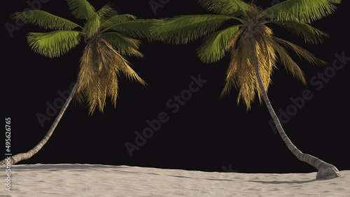 Billet, screensaver beach with tropical palm trees on a transparent background. 