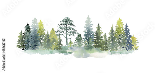 Watercolor forest illustration.