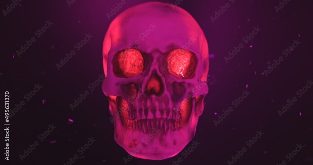 Skull with colored lighting loop closeup Skull with colored lighting loop closeup