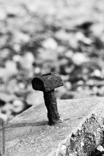 Old rusty nail in a black and white monochrome.