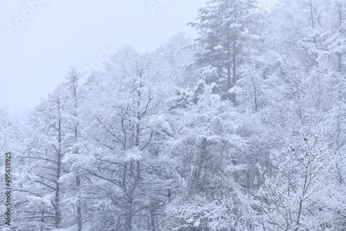 korea Mount Seorak Seoraksan winter snowy snow scene scenery nature fallen winter scenery