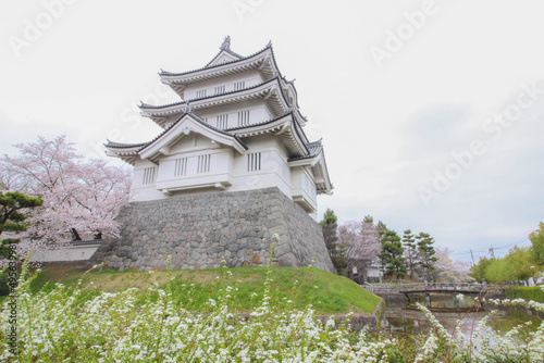サクラがきれいな春の忍城