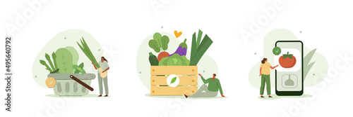 Grocery vegetables illustration set. Character buying online fresh organic vegetables, putting in shopping basket and veggie box delivery. Local production support concept. Vector illustration.