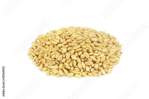 Wheat grains isolated on white background