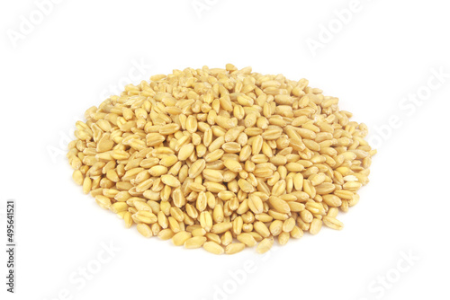 Heap of wheat seeds isolated on white 