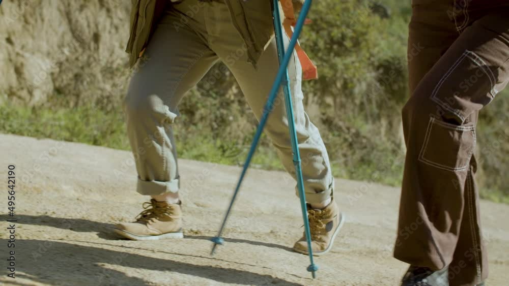 Two friends walking up hill while hiking on autumn day together and using trekking poles. Legs closeup of people in sport boots climbing up dirt road. Tourism, hiking concept Two friends walking up hill while hiking on autumn day together and using trekking poles. Legs closeup of people in sport boots climbing up dirt road. Tourism, hiking concept