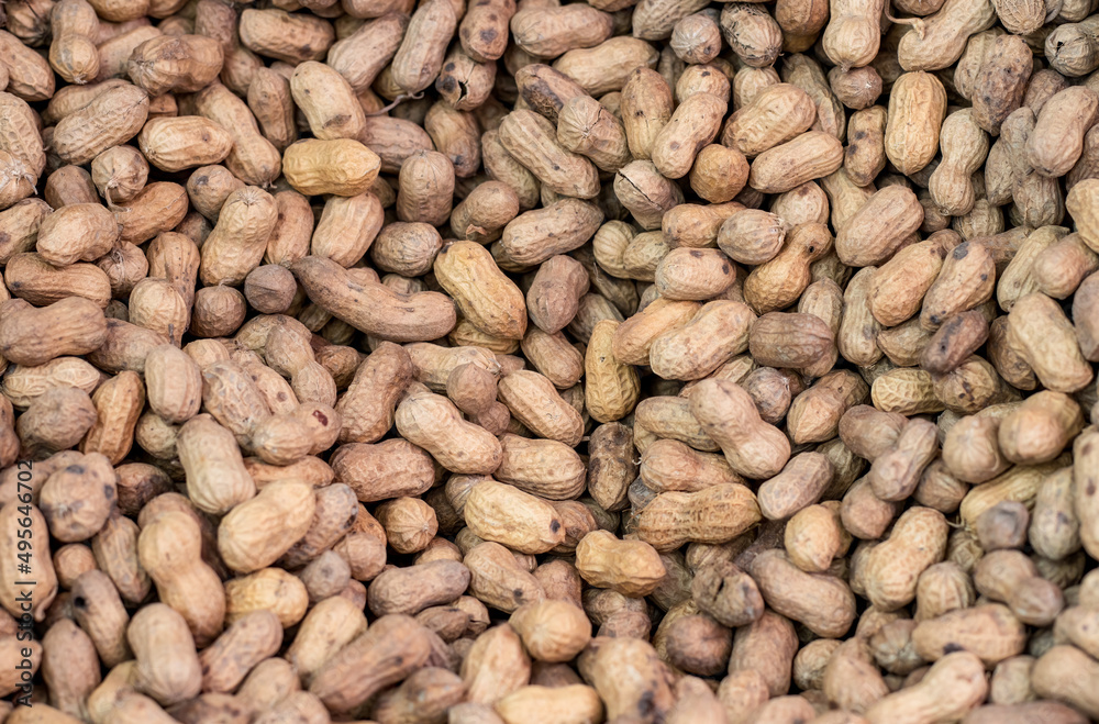 A heap of brown nuts close up shot with selective focus A heap of brown nuts close up shot with selective focus