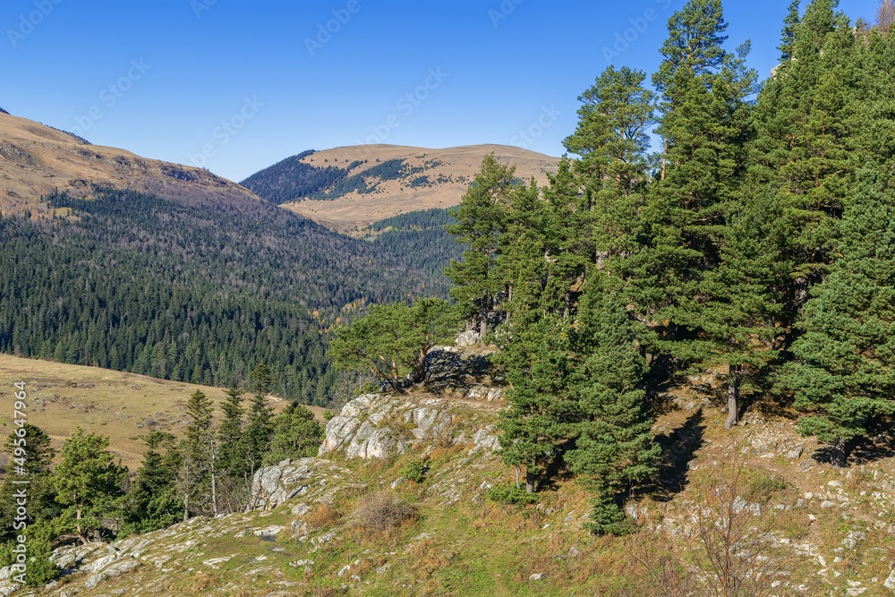 Lago-Naki Plateau, Adygea, Russia Lago-Naki Plateau, Adygea, Russia