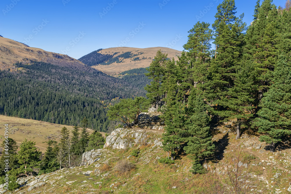 Lago-Naki Plateau, Adygea, Russia