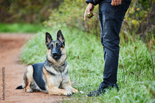 Nothing feels better than playing with my best friend. Shot of an adorable german shepherd being trained by his owner in the park. © Lumeez I/peopleimages.com