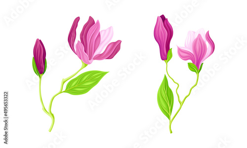 Fresh beautiful pink flowers with stem and leaves  greeting card or invitation design vector illustration