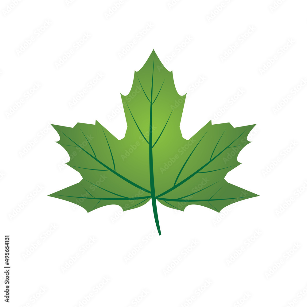 leaf logo vector template symbol design and icon leaf logo vector template symbol design and icon