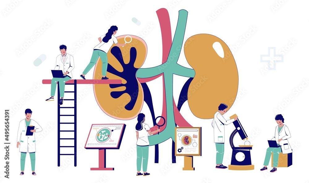 Doctors work on kidney treatment urology vector Doctors work on kidney treatment urology vector