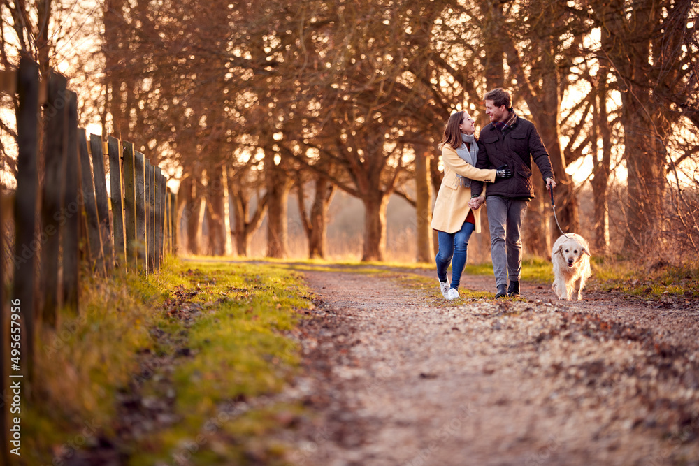 Fototapeta premium Couple With Woman With Prosthetic Hand Walking Pet Dog Through Winter Or Autumn Countryside