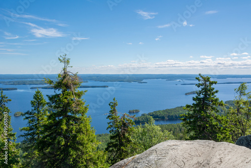 Trees on The Ukko-Koli Hill and view to Lake Pielinen on the background, Koli National Park, North Karelia, Finland