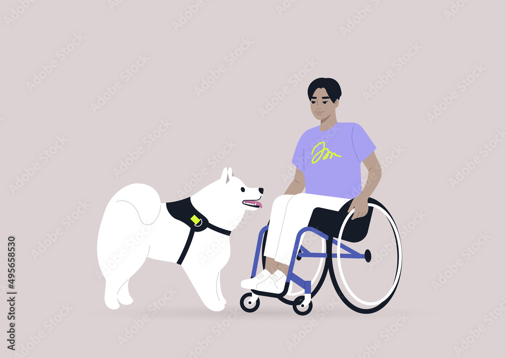 A young male Asian character in a wheelchair playing with a samoyed puppy, a friendship concept A young male Asian character in a wheelchair playing with a samoyed puppy, a friendship concept