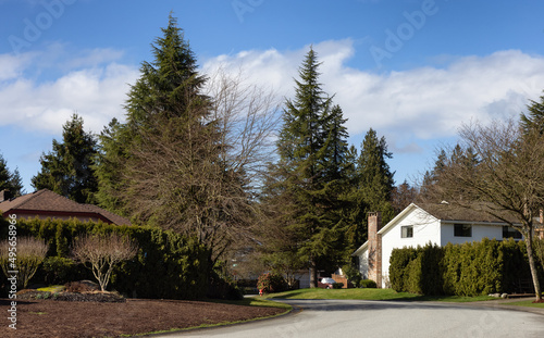 Residential neighborhood Street in Modern City Suburbs. Sunny Winter Day. Fraser Heights, Surrey, Greater Vancouver, British Columbia, Canada. © edb3_16