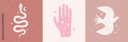 Vector pastel colors collection with snake, hand and bird with stars. Colored print design set with animal