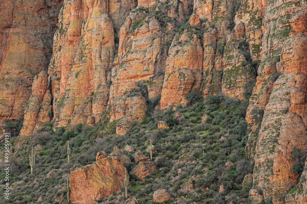 Spring landscape of the Superstition Wilderness Area,  Apache Trail, Tonto National Forest, Arizona, USA