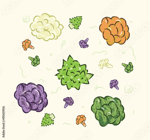 Cute colorful cauliflowers, broccoli, and romanesco plants in flat doodle vector art illustration design