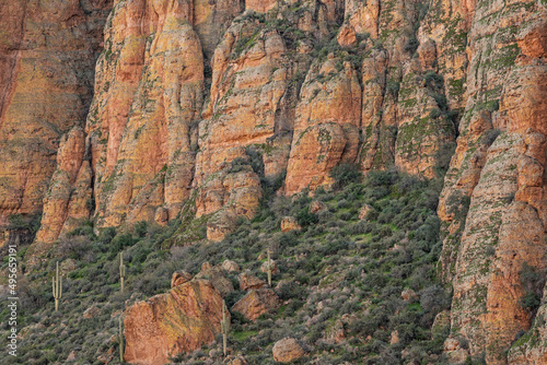 Spring landscape of the Superstition Wilderness Area,  Apache Trail, Tonto National Forest, Arizona, USA