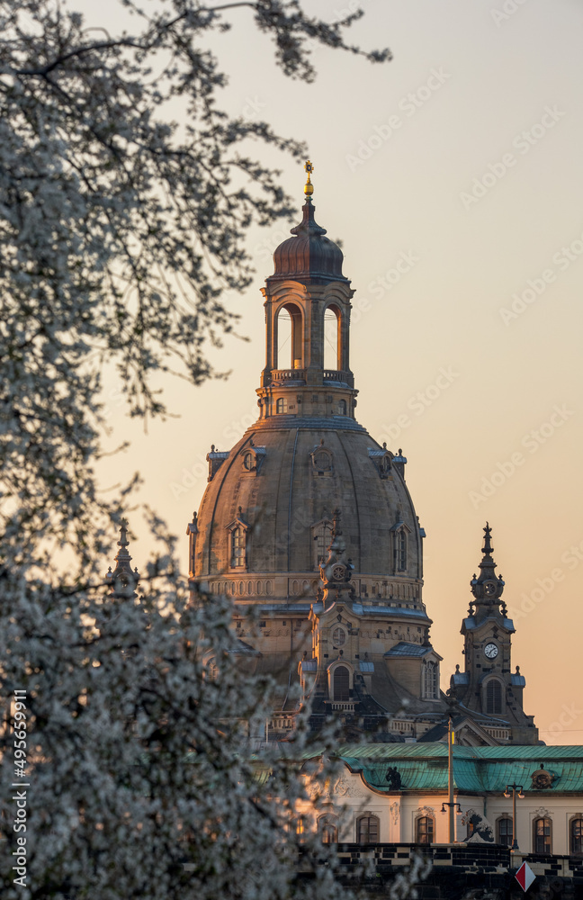 Frühling in Dresden 