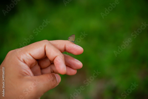 A little butterfly flew over my finger. © อาทิตย์ ท้วมตะเคียน
