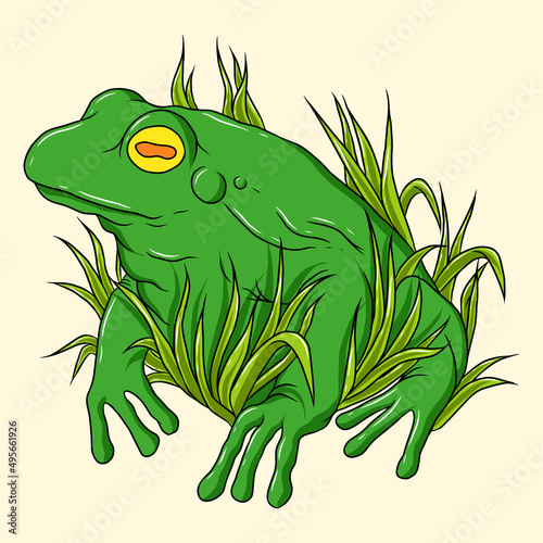 frog isolated animal illustration on white background.