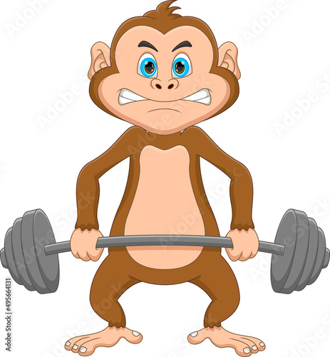 weightlifting monkey cartoon on white background