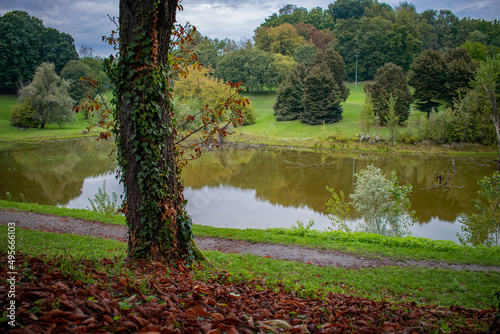 lake in the park
