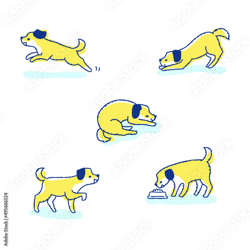 さまざまなポーズの犬　バリエーション　セット