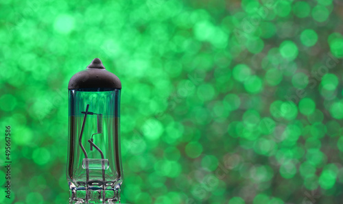 lantern in the garden