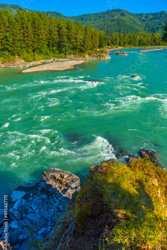 Fototapeta Naklejka Na Ścianę i Meble -  rapids on the river Katun