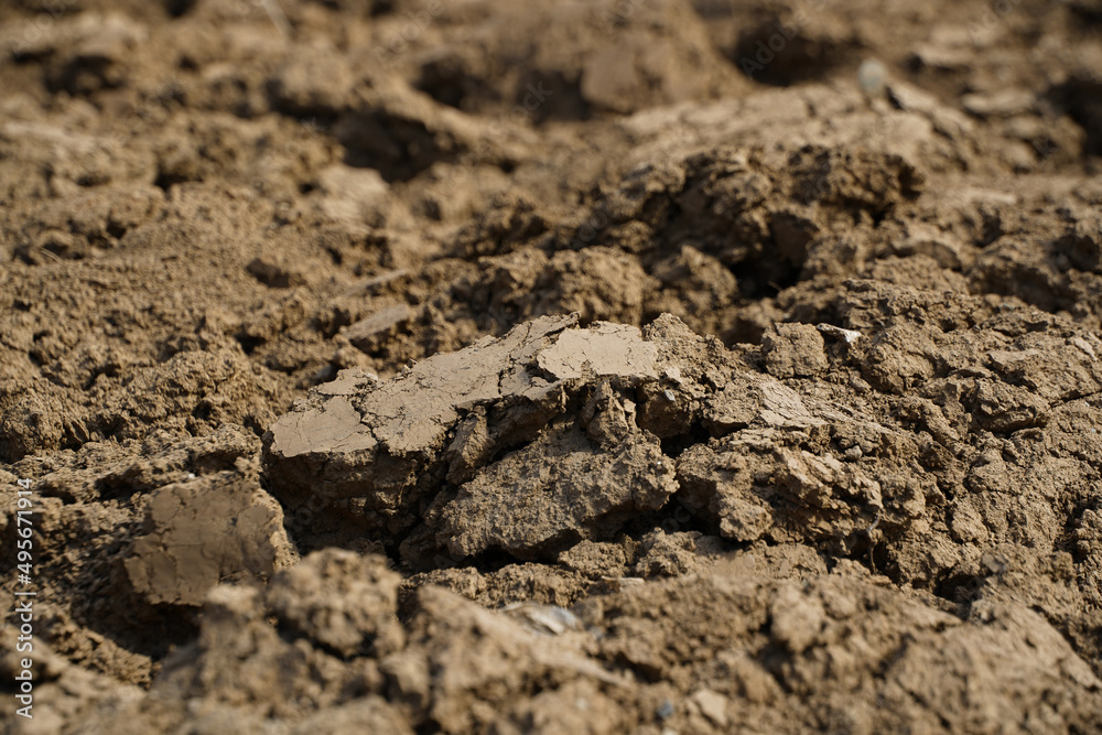 arable land. drought in the spring of 2022 in Baragan, Romania.