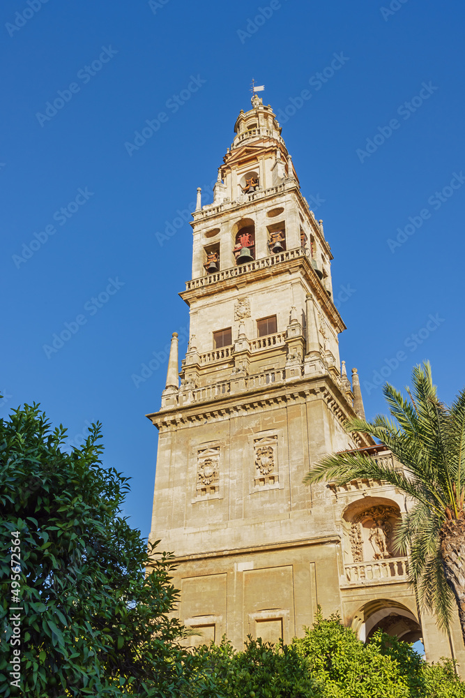 The bell tower of Cordoba's cathedral, seen from the garden in front of the building