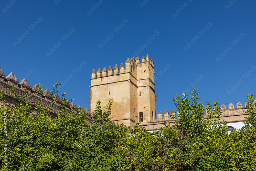 View of the Tower of the Lions seen from the alcazar's garden