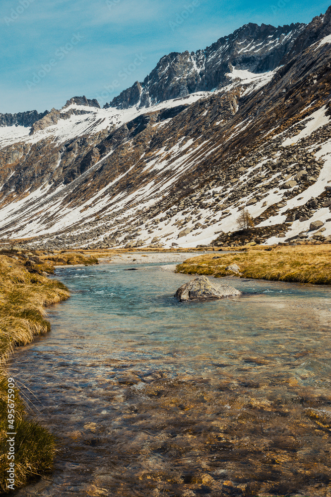 Fototapeta premium mountain river in the valley